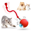 Bola Interativa para Gatos e Cães