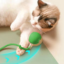 Bola Interativa para Gatos e Cães