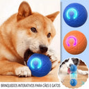 Bola Interativa Inteligente